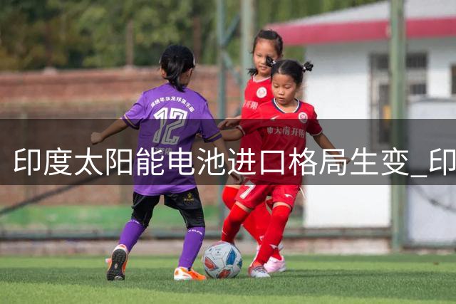 印度太阳能电池进口格局生变 印尼首超中国