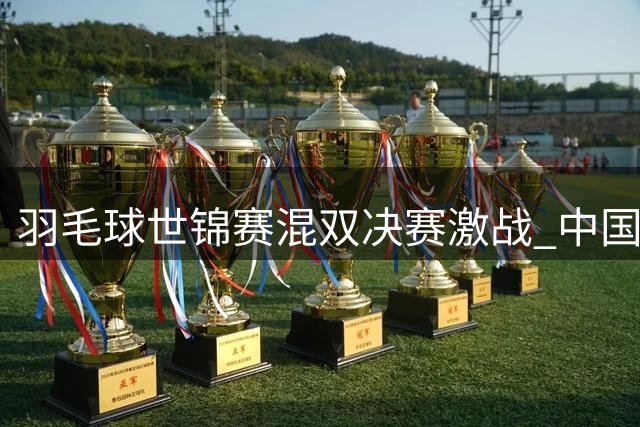 羽毛球世锦赛混双决赛激战 中国组合惜败法国队摘银