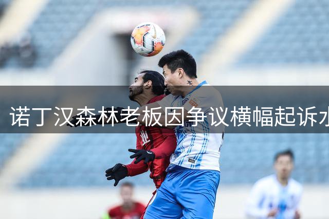 诺丁汉森林老板因争议横幅起诉水晶宫 索赔诽谤