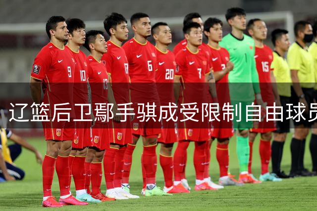 辽篮后卫鄢手骐成受限制自由球员 未来去向引关注