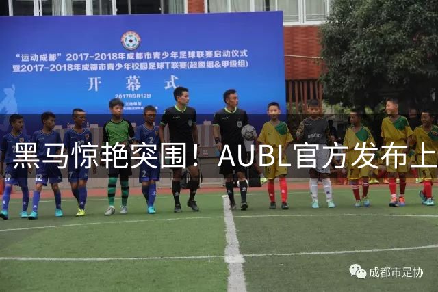 黑马惊艳突围！AUBL官方发布上海交大战胜北大精彩集锦